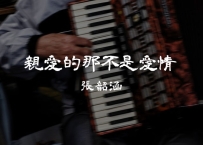 张韶涵 -《亲爱的那不是爱情》