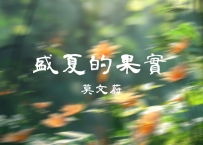 莫文蔚 -《盛夏的果实》