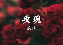 贰佰 - 《玫瑰》