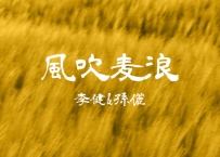 李健 -《风吹麦浪》