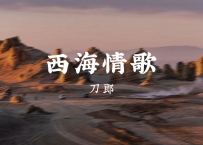 刀郎 - 《西海情歌》