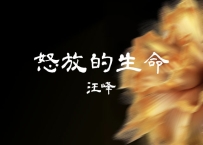 汪峰 - 《怒放的生命》