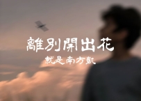 就是南方凯 -《离别开出花》