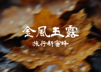 旅行新蜜蜂 -《金风玉露》