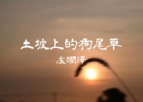 卢润泽 -《土坡上的狗尾草》