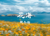 周杰伦 -《花海》