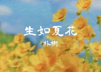 朴树 -《生如夏花》