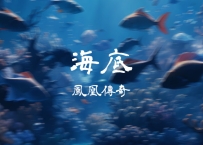 凤凰传奇 -《海底》