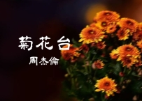 周杰伦 - 《菊花台》