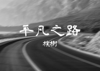 朴树 -《平凡之路》
