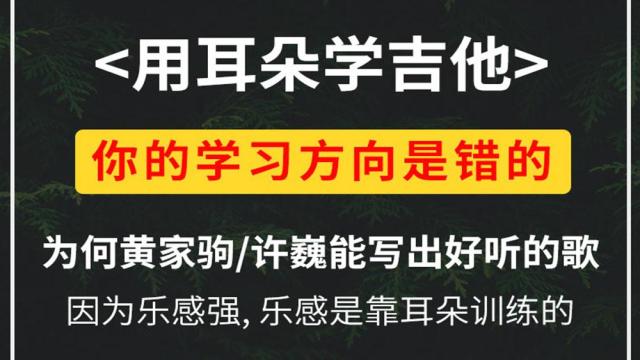 【用耳朵学吉他】扒歌专业系统训练课，交作业